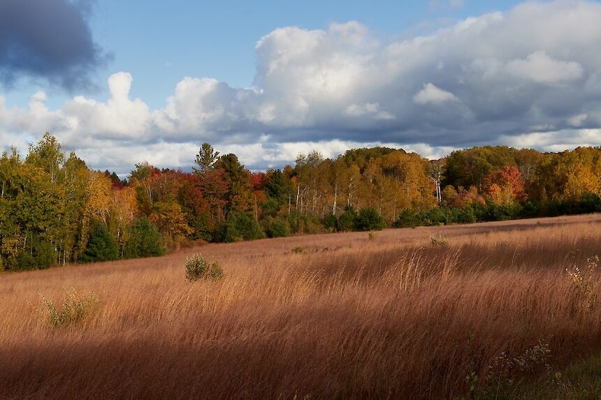  Habitat Discovery Center 