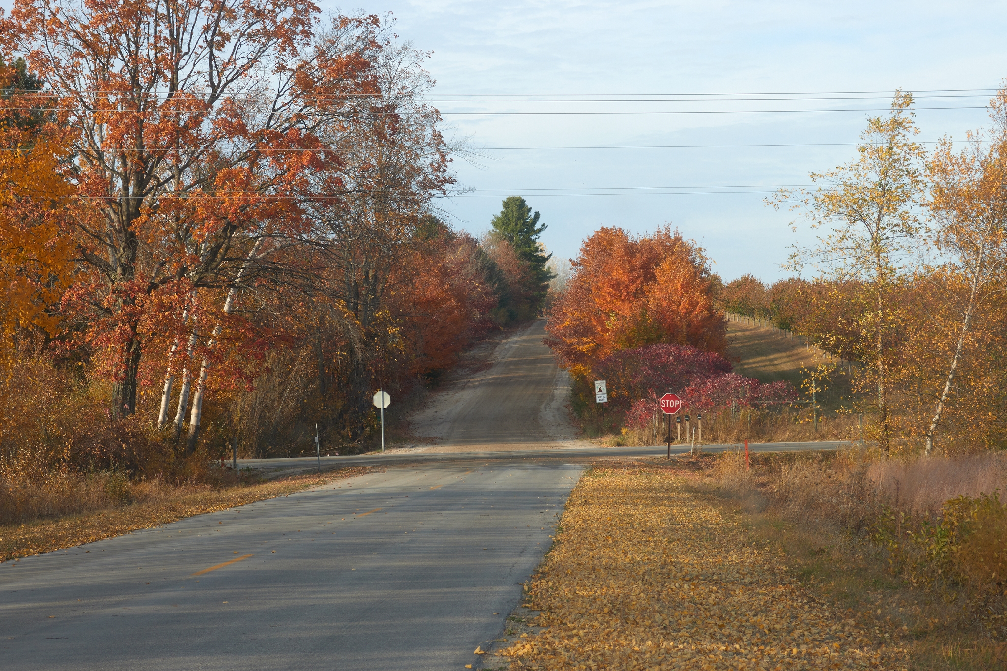Putnam Road