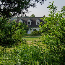 Doug and Cindy Tallamy